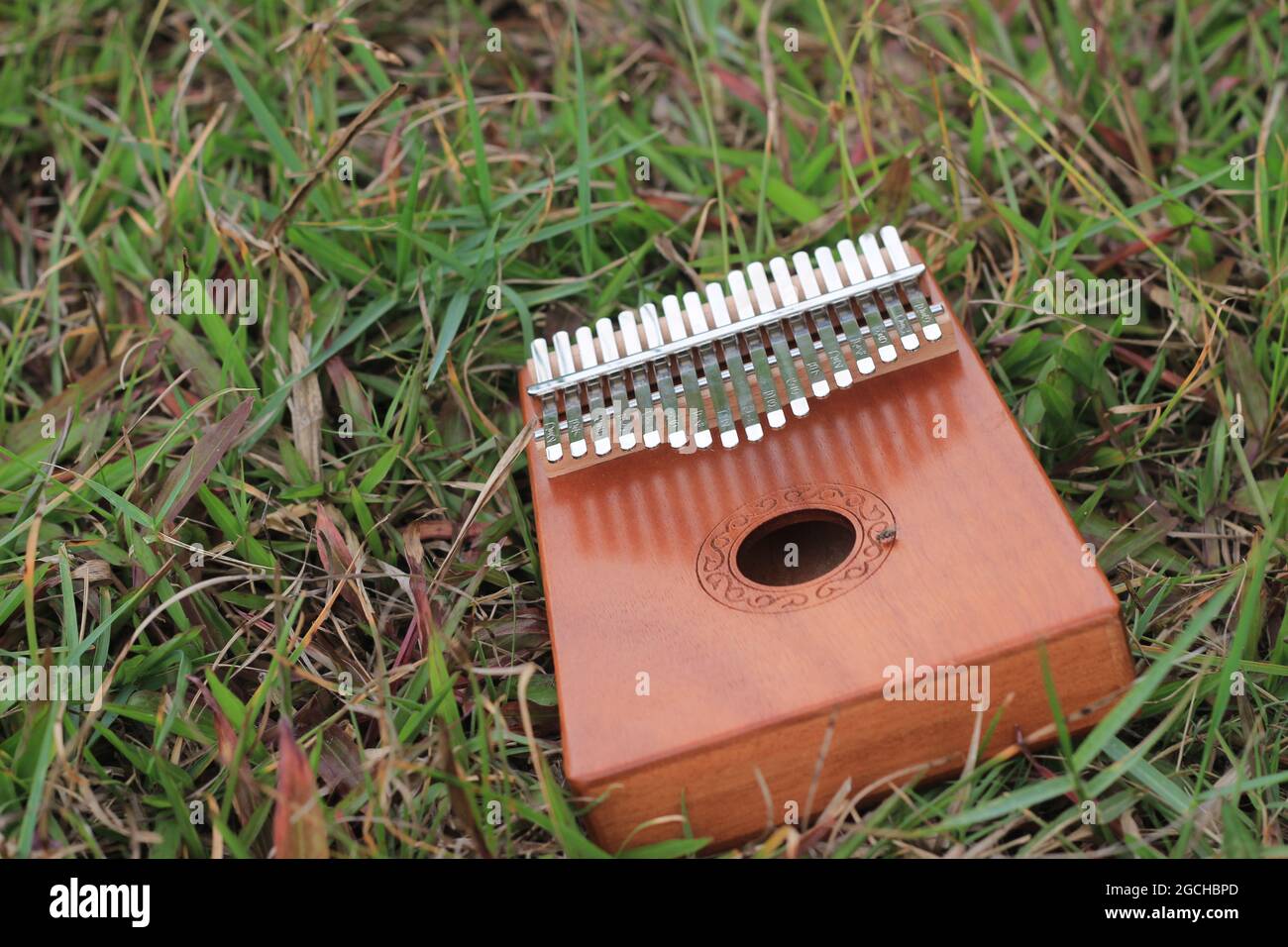 Kalimba, strumento di musica acustica africano e la sua copertina morbida a Grass Foto Stock
