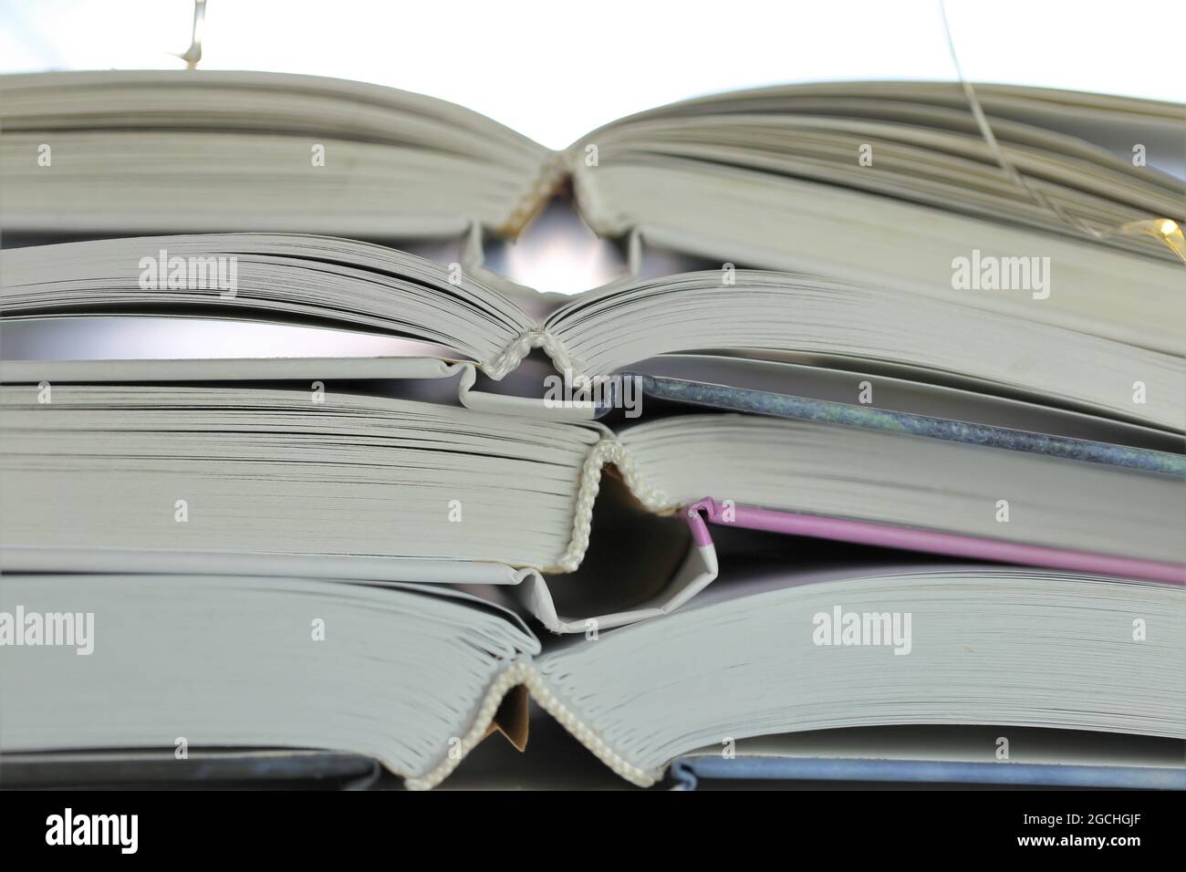 Lettura di libri. Libri con cover.Literature bianche e concetto di hobby. Libri invernali. Inverno lettura accogliente. Foto Stock