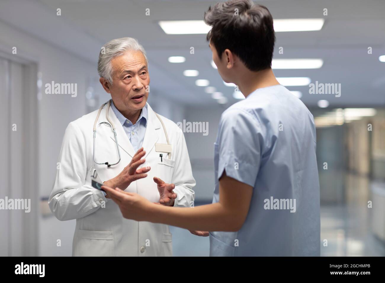 I medici discutono di immagini radiografiche Foto Stock