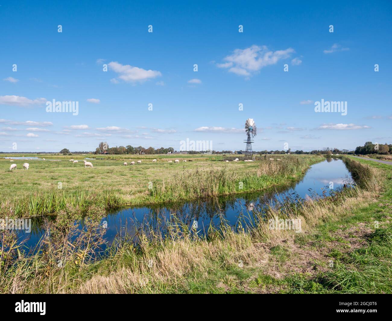 Windwatermill drenaggio delle paludi polder, controllo del livello delle acque nella riserva naturale Alde Feanen, Friesland, Paesi Bassi Foto Stock