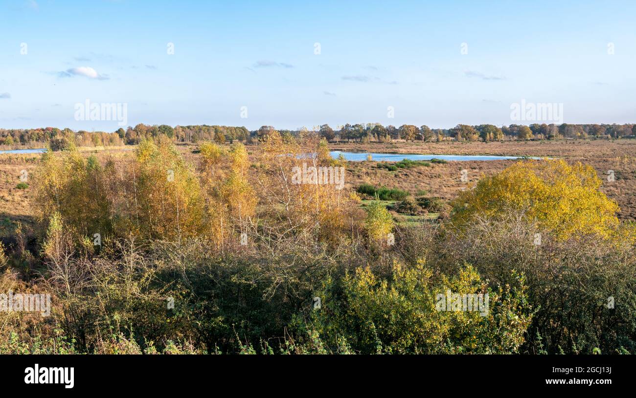 Panorama del lago Meeuwenveen nella riserva naturale Takkenhoogte, Zuidwolde, Drenthe, Paesi Bassi Foto Stock