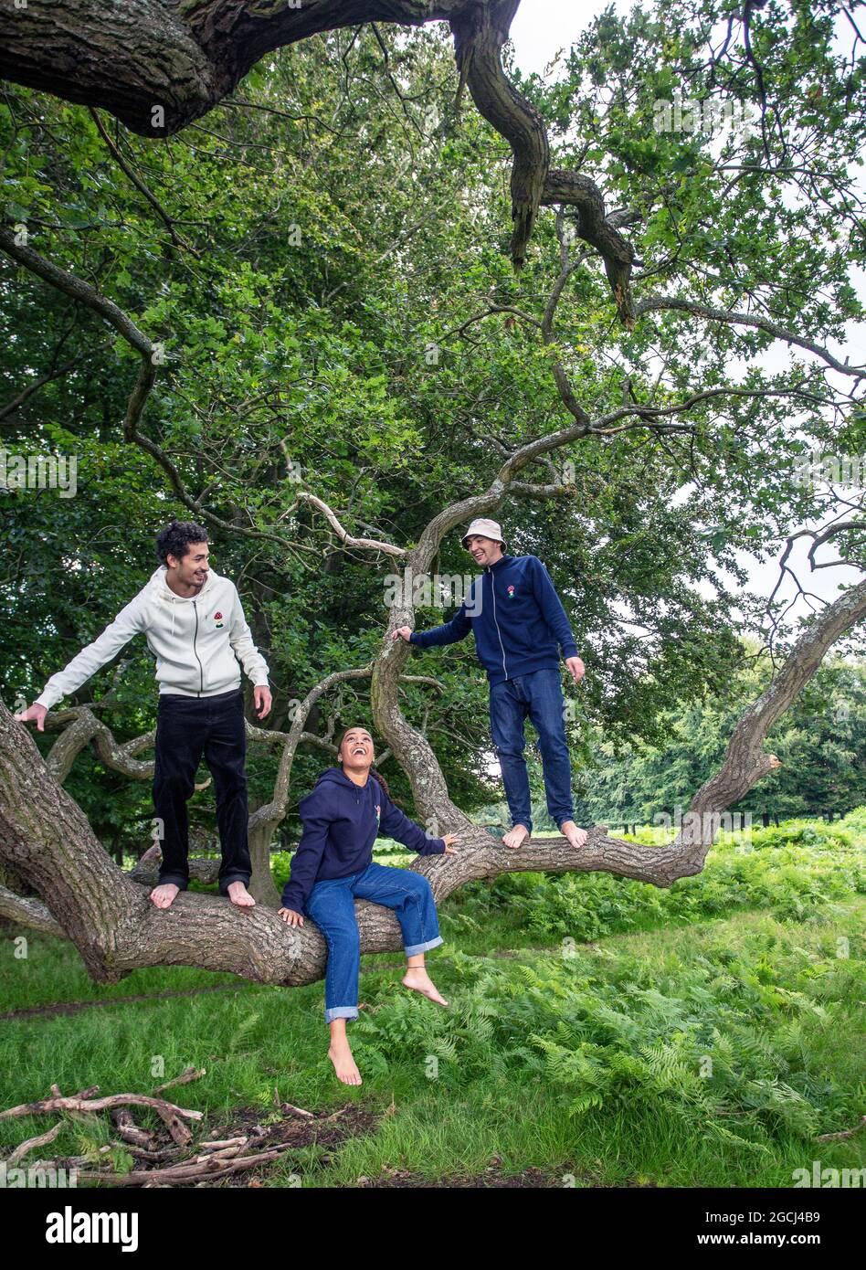 Gruppo di giovani nel parco che arrampicano su un albero Foto Stock