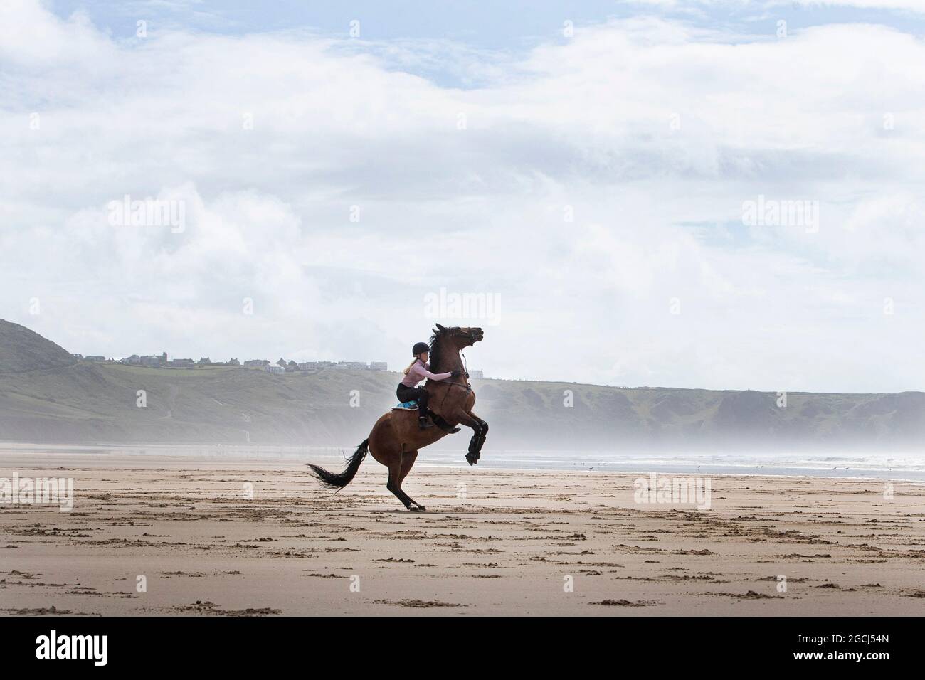 Le donne cavalcano a cavallo sulla spiaggia di Rhossilli Bay nel Galles occidentale, nel Regno Unito, con la foschia e il vento che soffia. Foto Stock