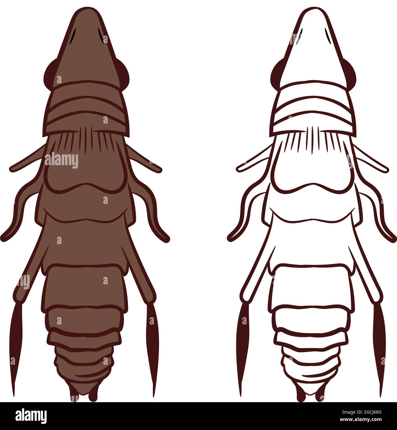 Flea o Sifonaptera illustrazione vettoriale riempimento e contorno isolato su sfondo bianco. Insetti Bugs Worms Pest e Flies.Entomology o Pest Control B Illustrazione Vettoriale