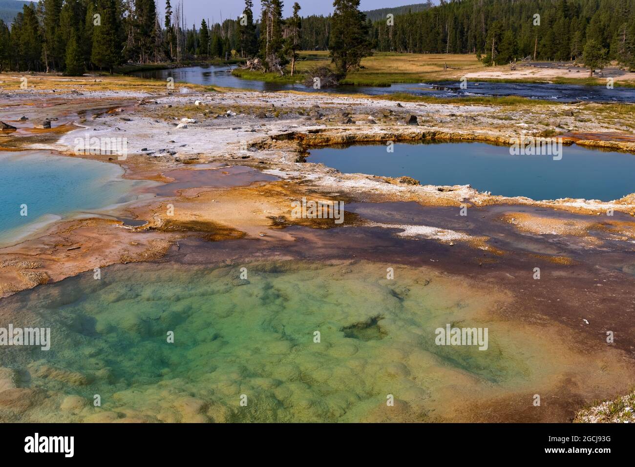 Si tratta di una vista delle piscine termali calde multicolore di Black Opal Spring nell'area di Biscuit Basin del Parco Nazionale di Yellowstone, Wyoming, Stati Uniti. Foto Stock