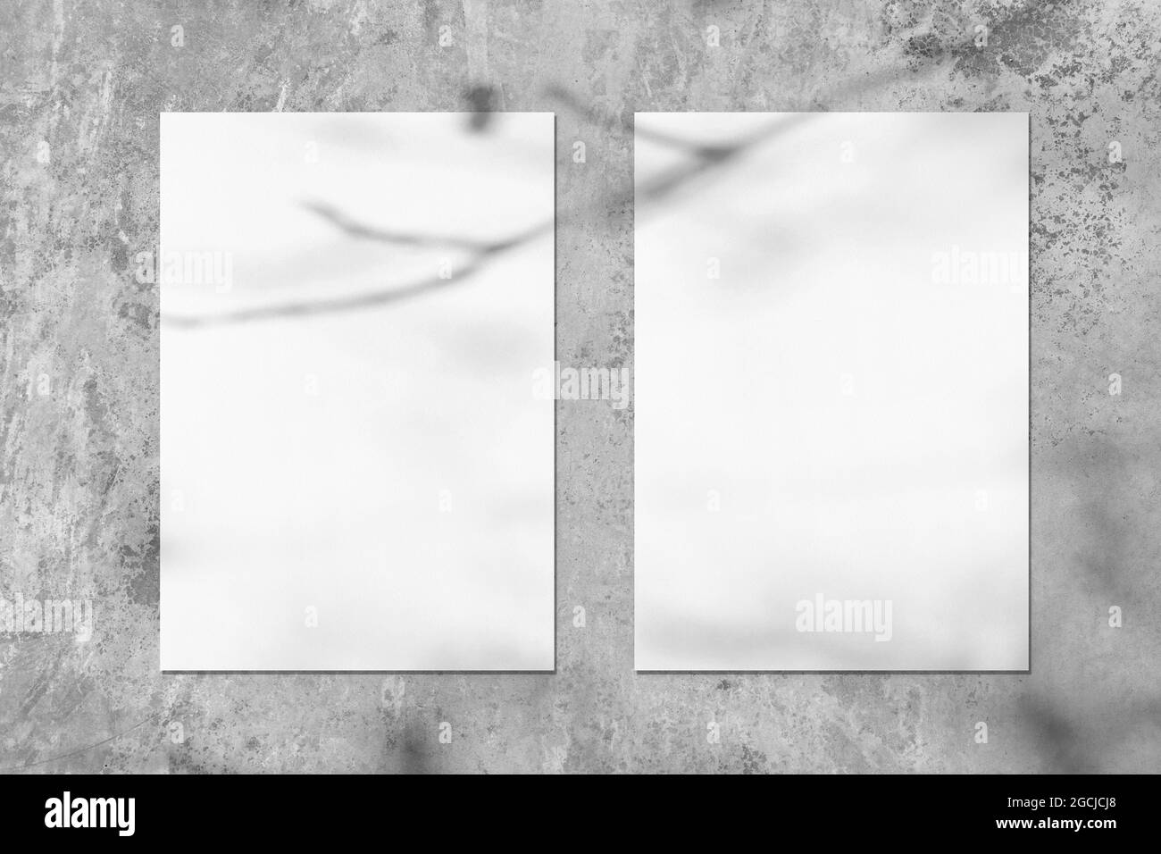 Due mockup di poster rettangolari bianchi vuoti con le foglie di albero morbido ombra Foto Stock
