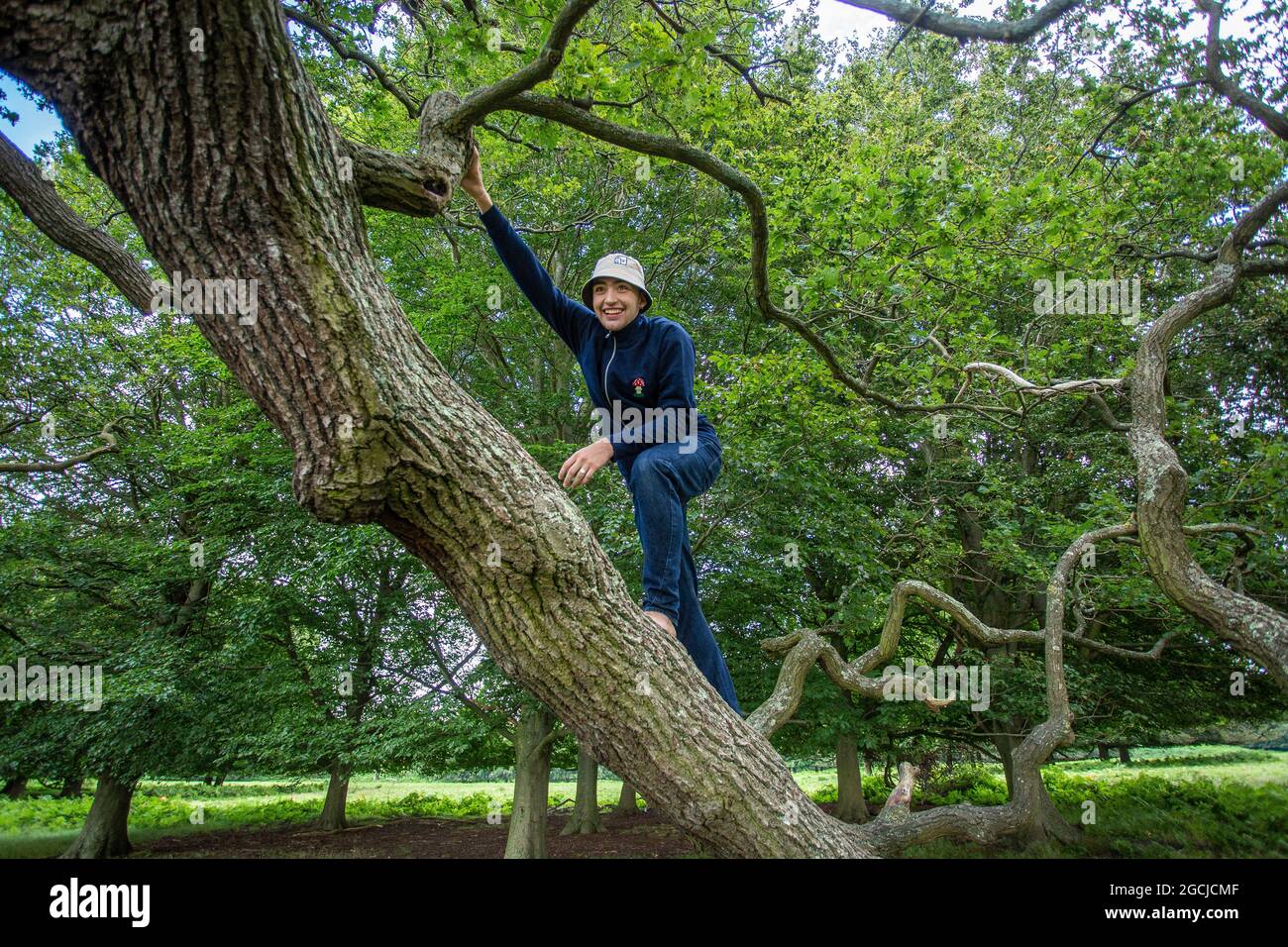 Giovane uomo parigamba arrampicata su un albero in un parco Foto Stock