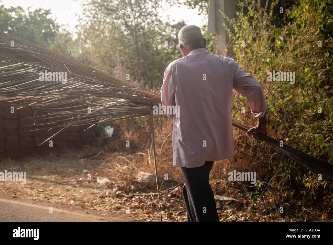Uomo indiano che trasporta le palme asciutte, Goa Foto Stock