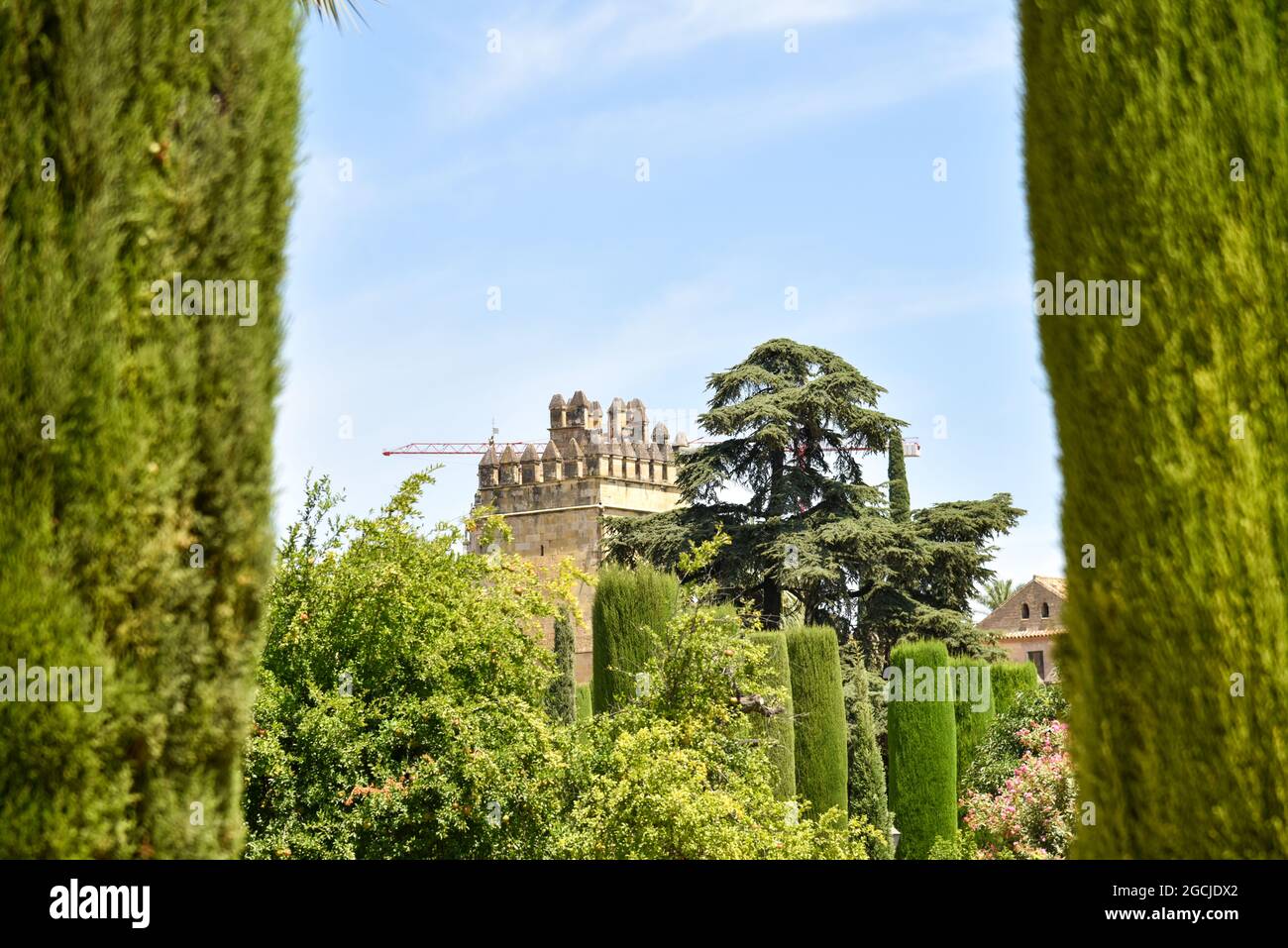 Córdoba Andalucía España jardines de el Alcázar de los reyes cristianos 2021 Foto Stock