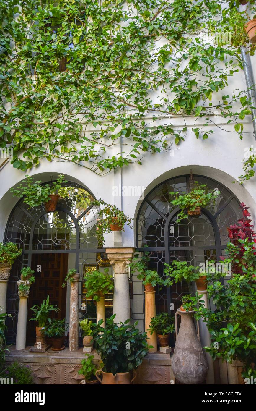 córdoba andalucia españa los patios verde con su macetas 2021 Foto Stock