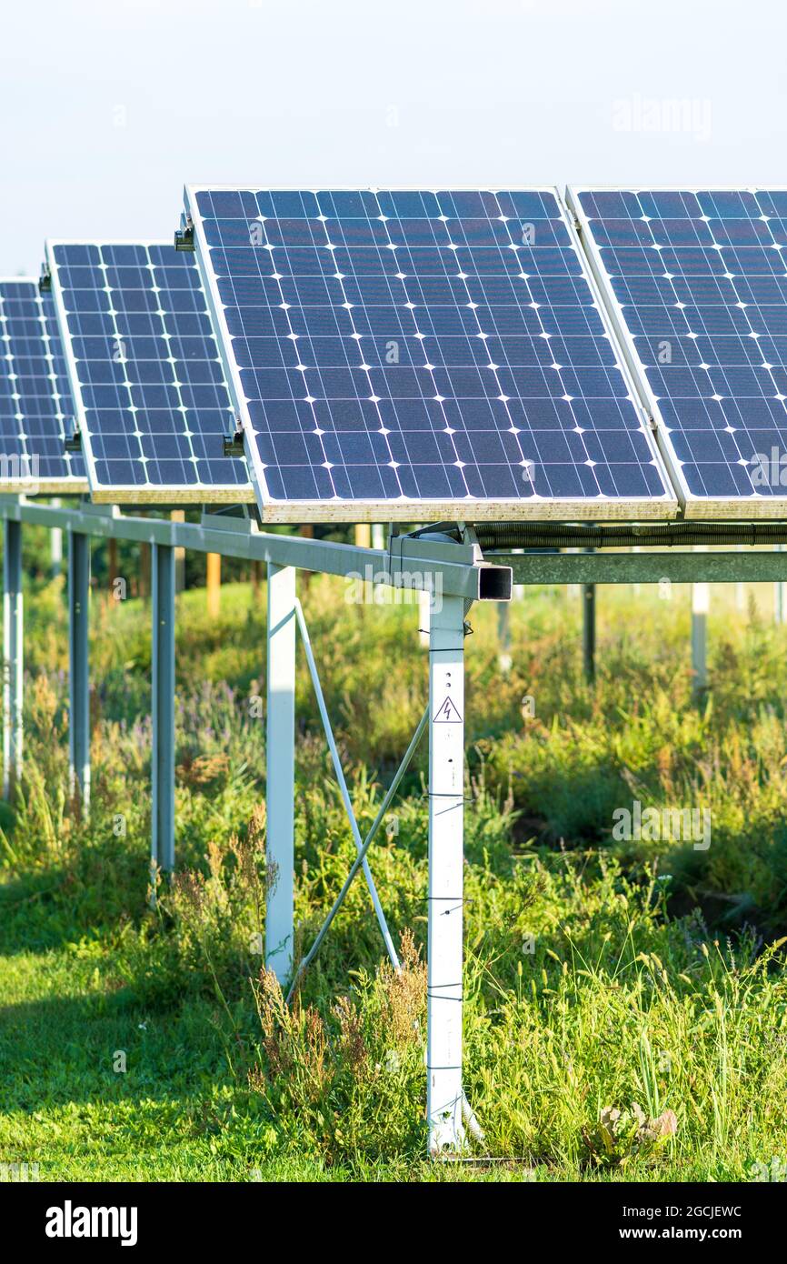 Pannelli solari in un campo agricolo verde in campagna. Impianto solare. Pannelli solari blu. Fonte alternativa di elettricità. Fattoria solare Foto Stock