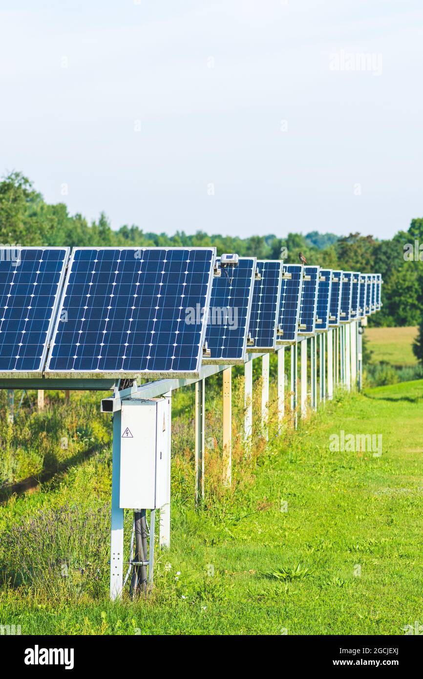 Pannelli solari in un campo agricolo verde in campagna. Impianto solare. Pannelli solari blu. Fonte alternativa di elettricità. Fattoria solare Foto Stock