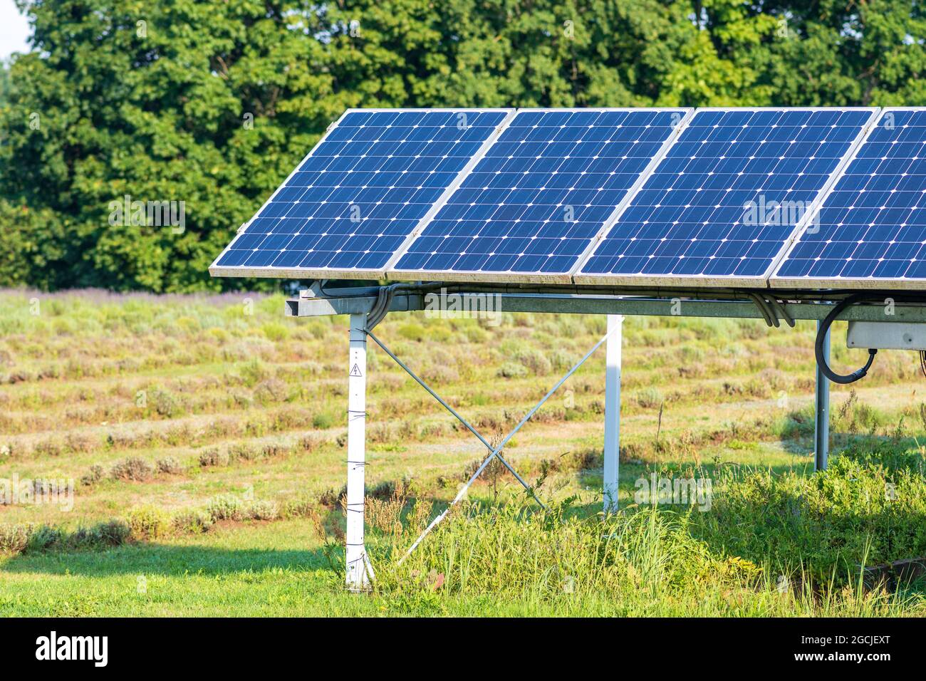 Pannelli solari in un campo agricolo verde in campagna. Impianto solare. Pannelli solari blu. Fonte alternativa di elettricità. Fattoria solare Foto Stock