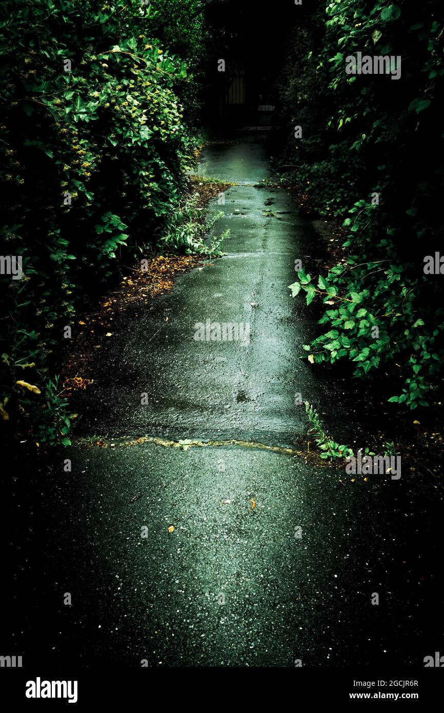 strada asfaltata bagnata che conduce all'oscurità Foto Stock