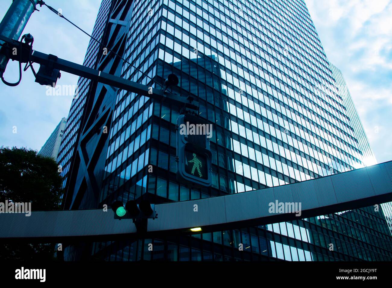 Un semaforo vicino all'edificio in Shinjuku colpo largo Foto Stock