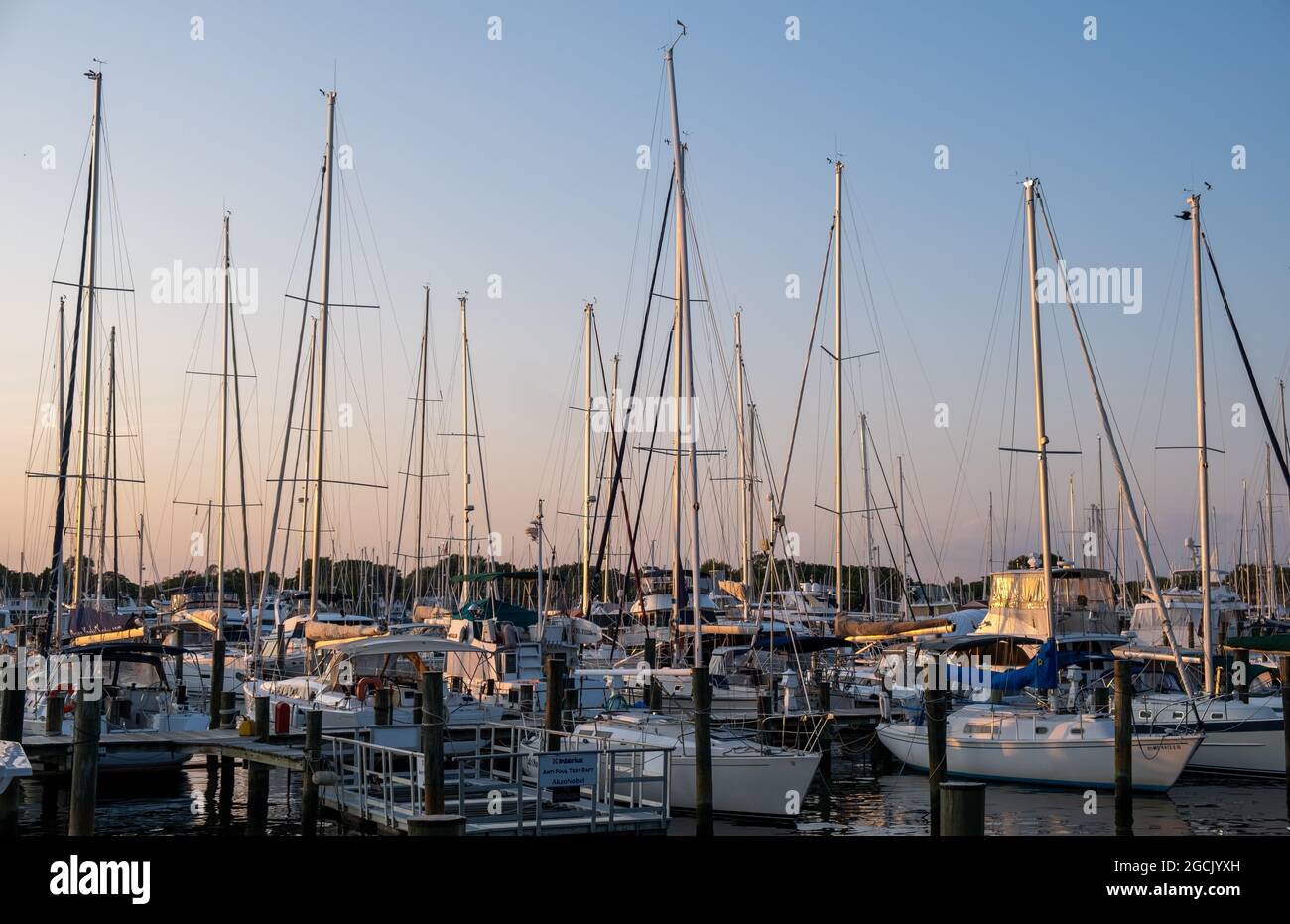 Port Annapolis a Annapolis, Maryland Foto Stock
