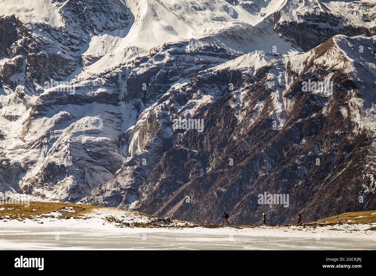 Vista remota della compagnia di escursionisti che camminano su terreni innevati sullo sfondo delle montagne dell'Himalaya durante il trekking in inverno in Nepal Foto Stock