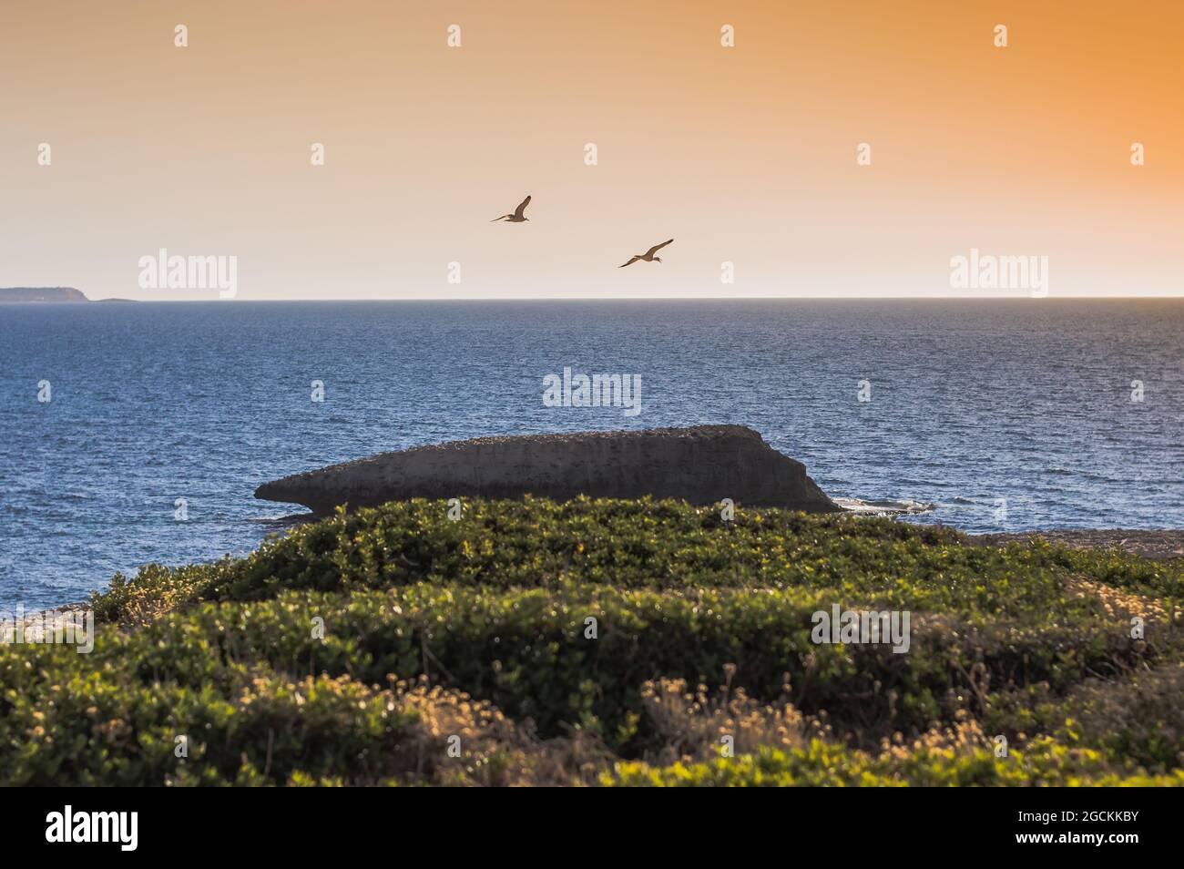 baia naturale tra il mare e le rocce al tramonto. uccelli sul mare Foto Stock