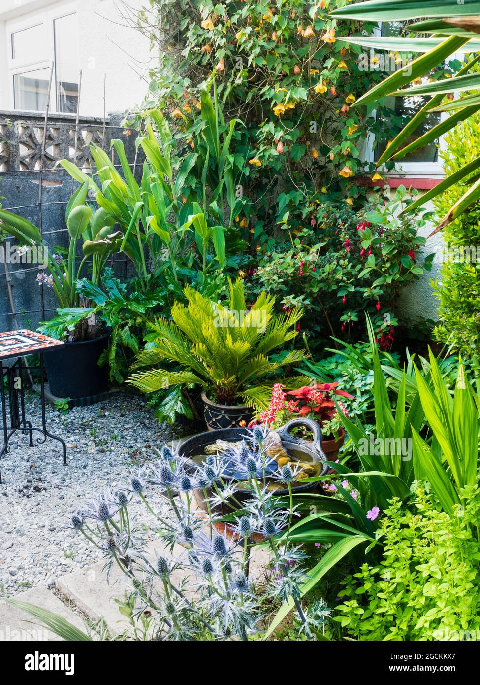Piccola area salotto in un giardino a tema tropicale di Plymouth, Regno Unito all'inizio di luglio Foto Stock