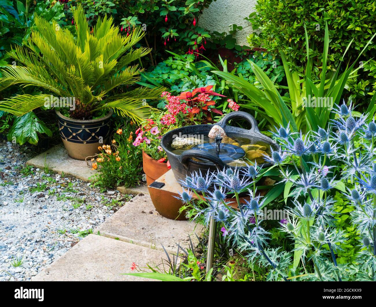 Piccola area salotto in un giardino a tema tropicale di Plymouth, Regno Unito all'inizio di luglio Foto Stock