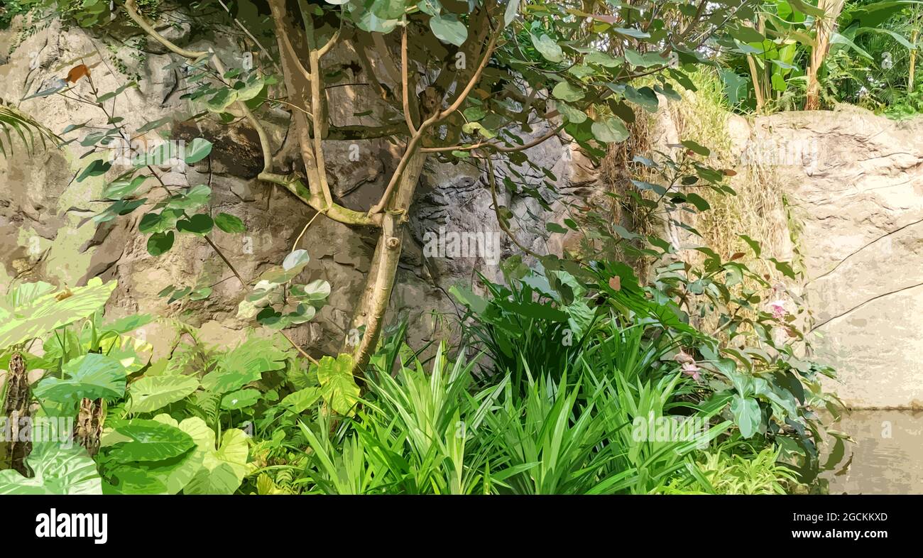 Giungla tropicale. Alberi tropicali e piante. Foto stilizzata. Foto Stock