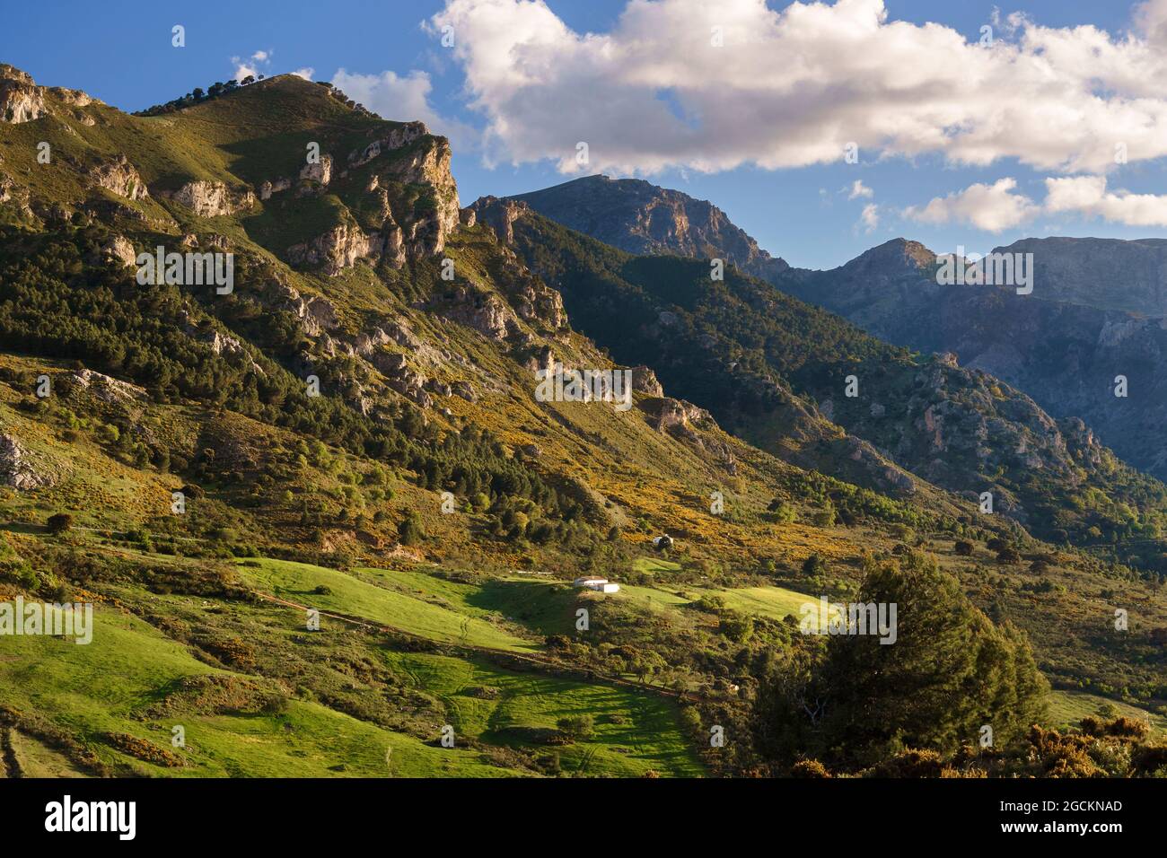 Parete nord delle montagne della Sierra Prieta, vicino al parco nazionale della Sierra de las Nieves a Malaga. Andalusia, Spagna Foto Stock