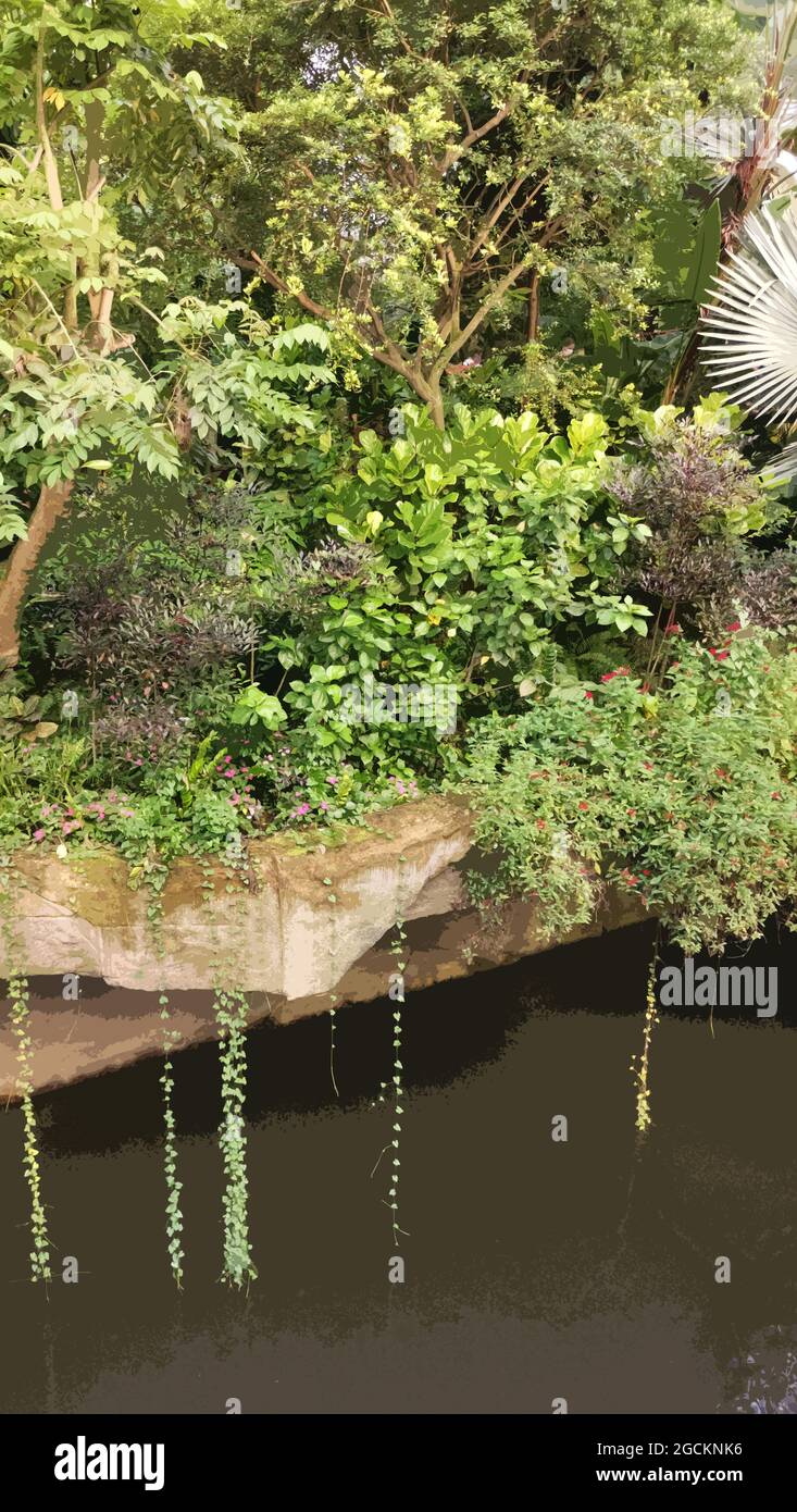Giungla tropicale lungo il Rio delle Amazzoni. Alberi tropicali e piante. Foto stilizzata. Foto Stock