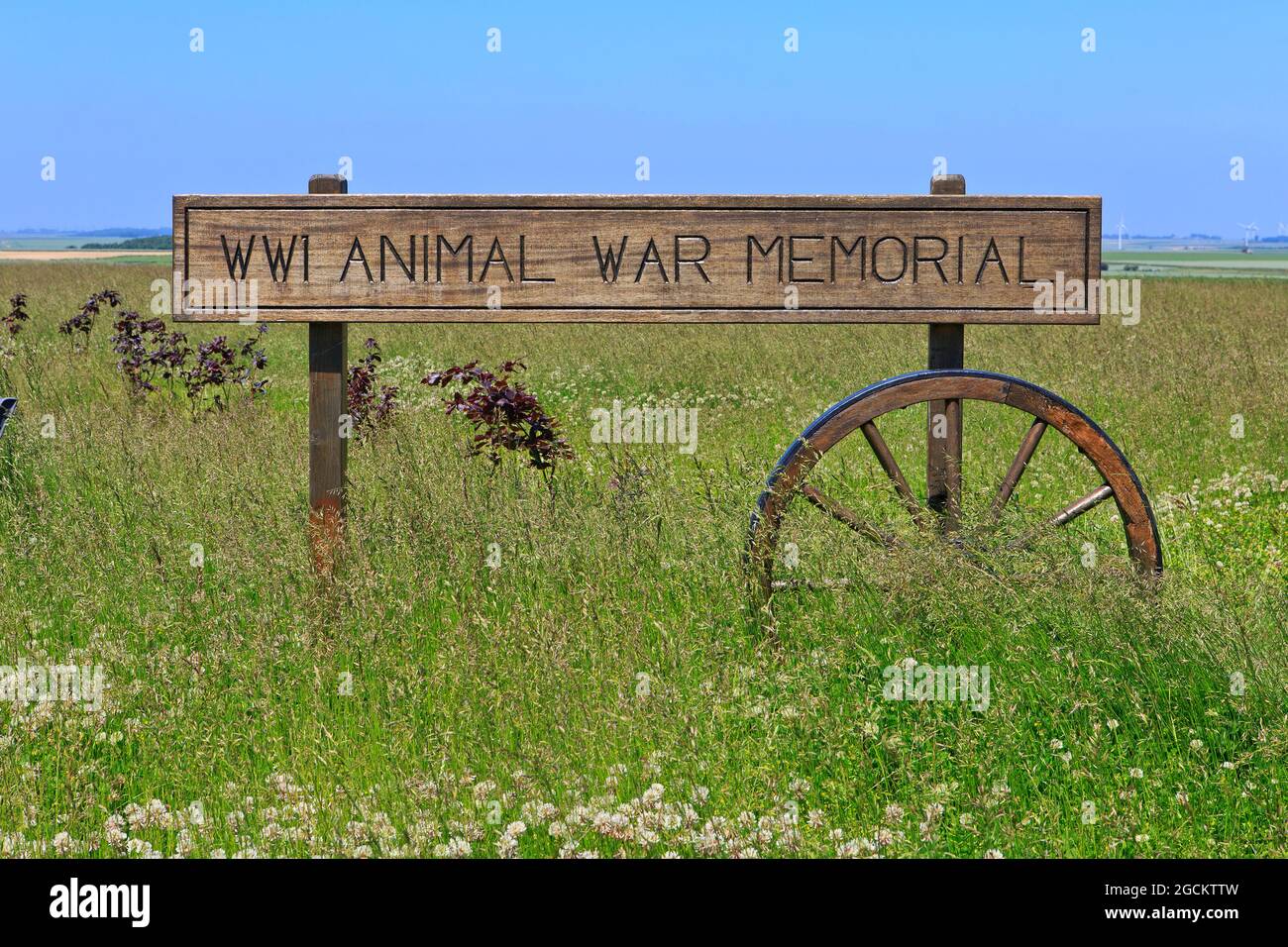 Monumento commemorativo della prima Guerra animale a Pozieres (Somme), Francia Foto Stock