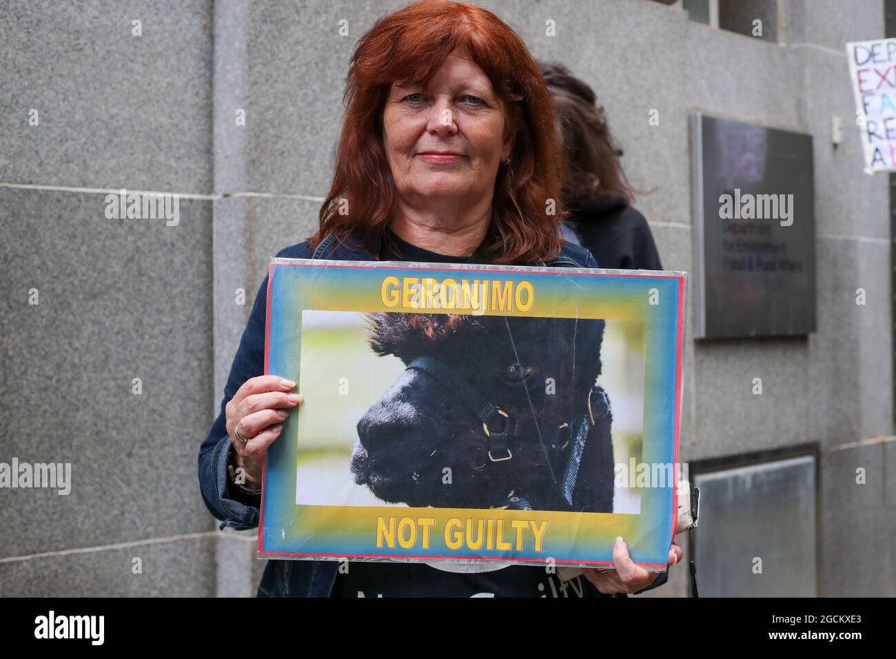 LONDRA, INGHILTERRA - 9 AGOSTO 2021, protesta contro Save Geronimo The Alpaca per essere stato estirpato al di fuori del Dipartimento di ambiente, cibo e affari rurali, a Londra Foto Stock