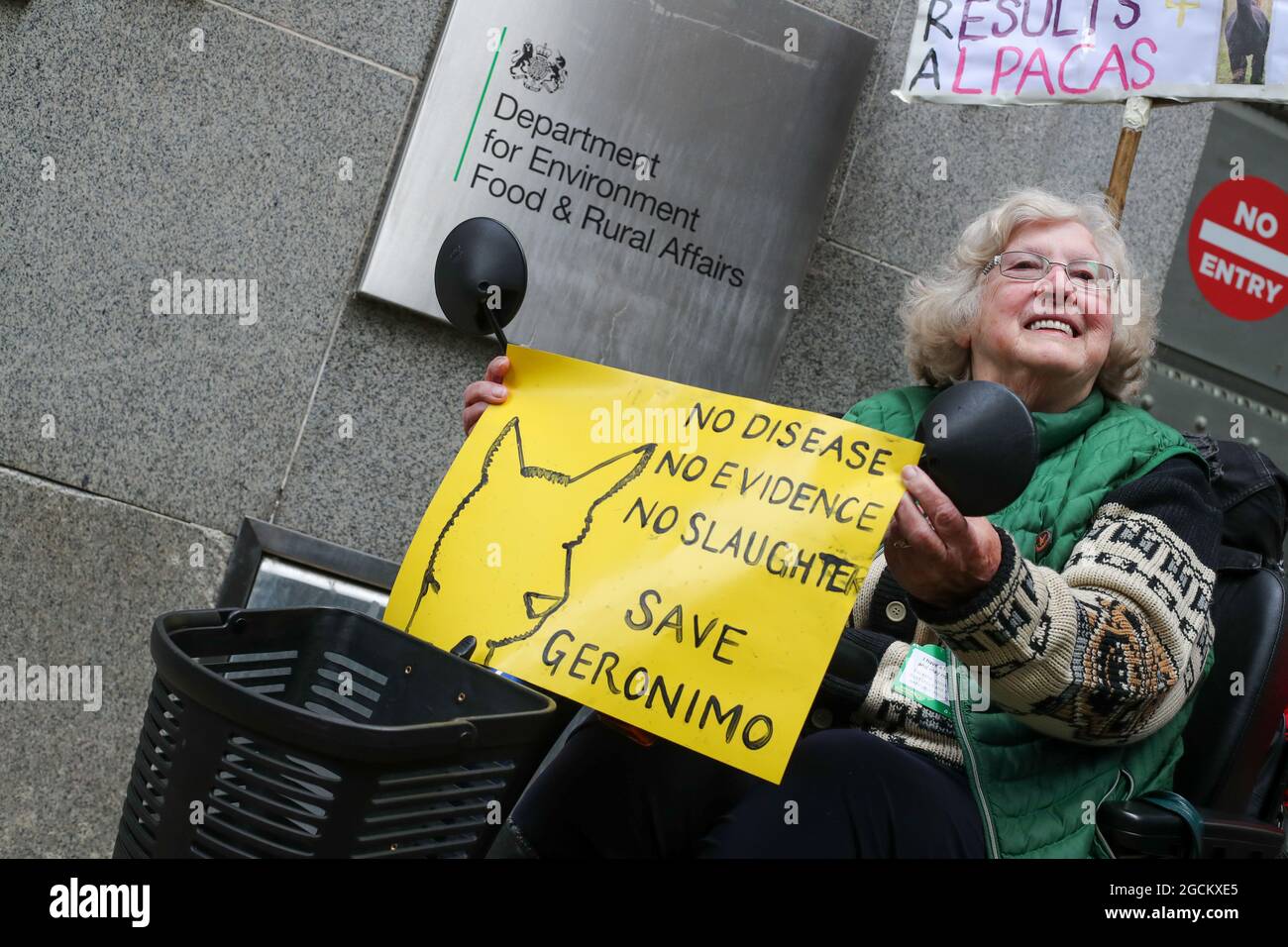 LONDRA, INGHILTERRA - 9 AGOSTO 2021, protesta contro Save Geronimo The Alpaca per essere stato estirpato al di fuori del Dipartimento di ambiente, cibo e affari rurali, a Londra Foto Stock