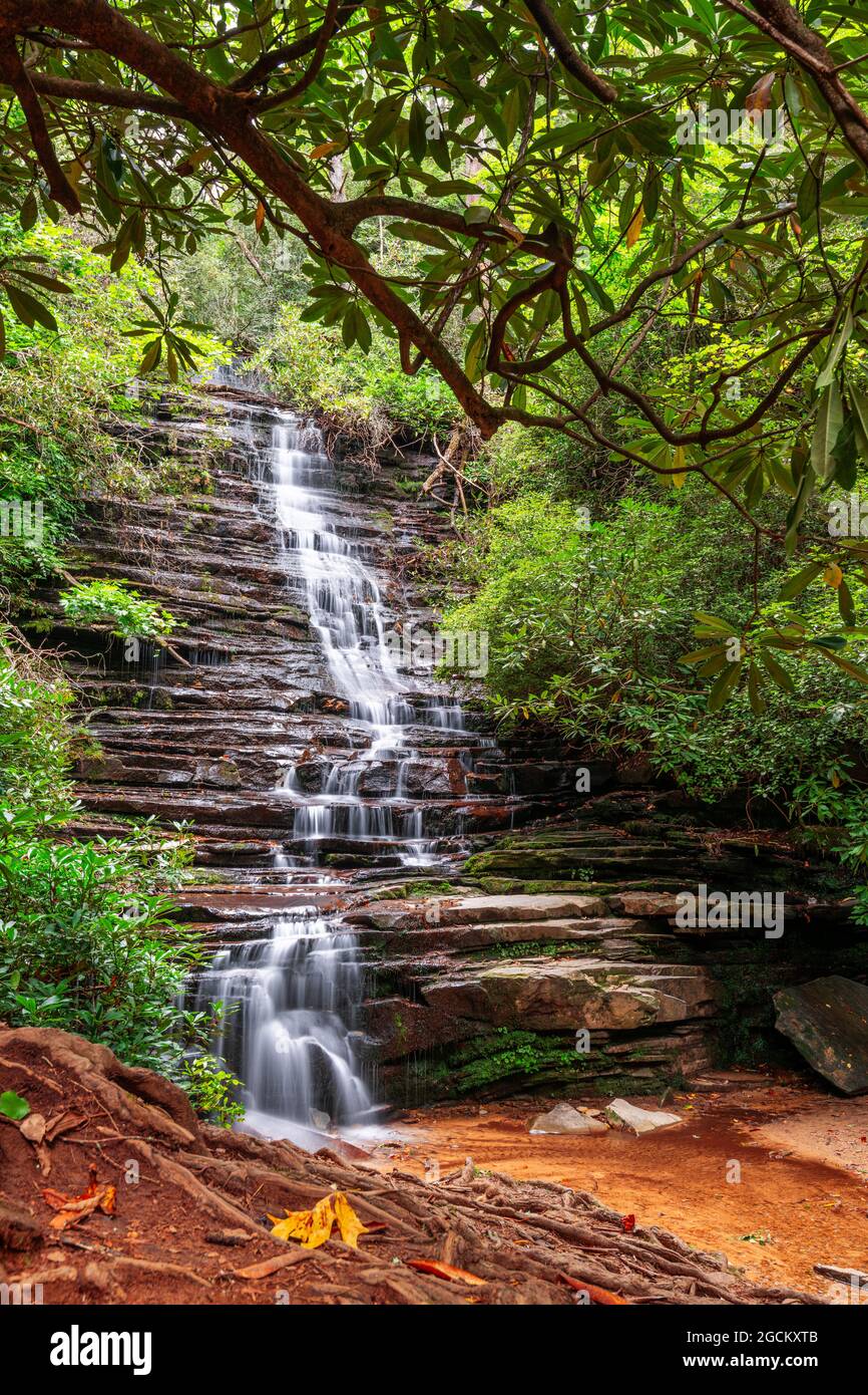 Cascate Panther, contea di Rabun, Georgia sul fiume Tallulah. Foto Stock