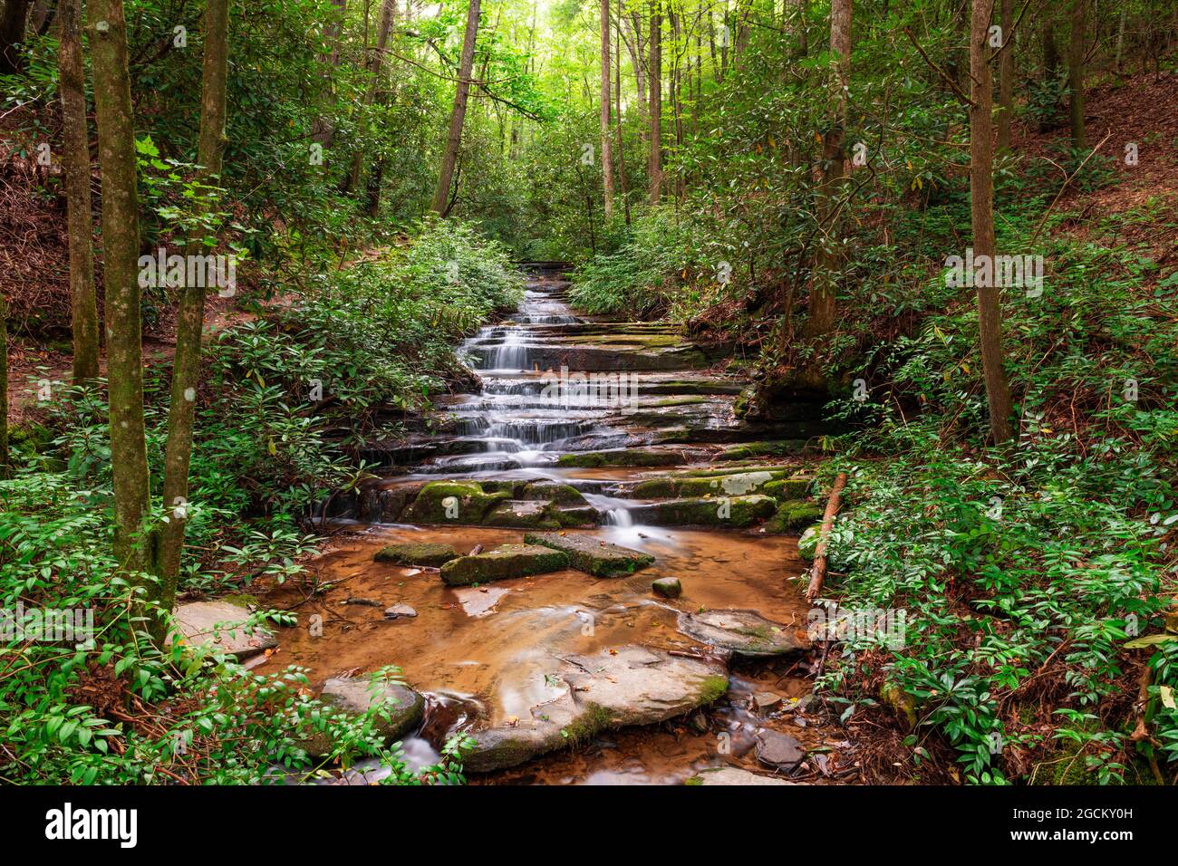 Cascate Panther, contea di Rabun, Georgia sul fiume Tallulah. Foto Stock