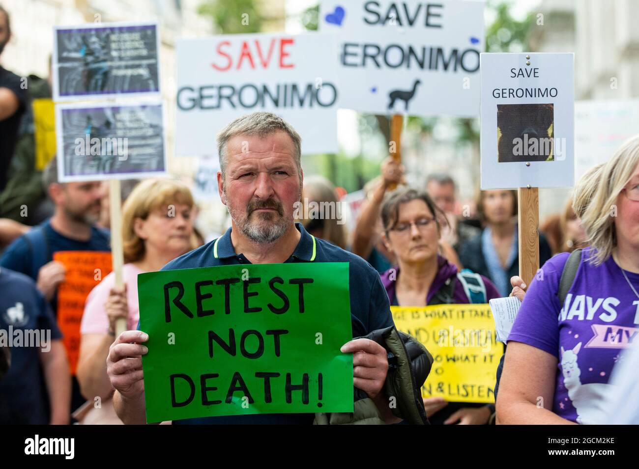 Londra, Regno Unito. 9 agosto 2021. Manifestanti fuori Downing Street campagna per salvare la vita Geronimo l'alpaca dopo che il Segretario per l'ambiente George Ejustice ha difeso una controversa decisione di mettere giù l'animale che per due volte è risultato positivo per la tubercolosi bovina. Il proprietario di Geronimo, infermiera veterinaria Helen Macdonald, che alleva nella sua fattoria di Wickwar, nel sud del Gloucestershire, sostiene che i test utilizzati erano inaccurati e vuole che Geronimo ricevesse un test di Actiphage più accurato. Credit: Stephen Chung / Alamy Live News Foto Stock