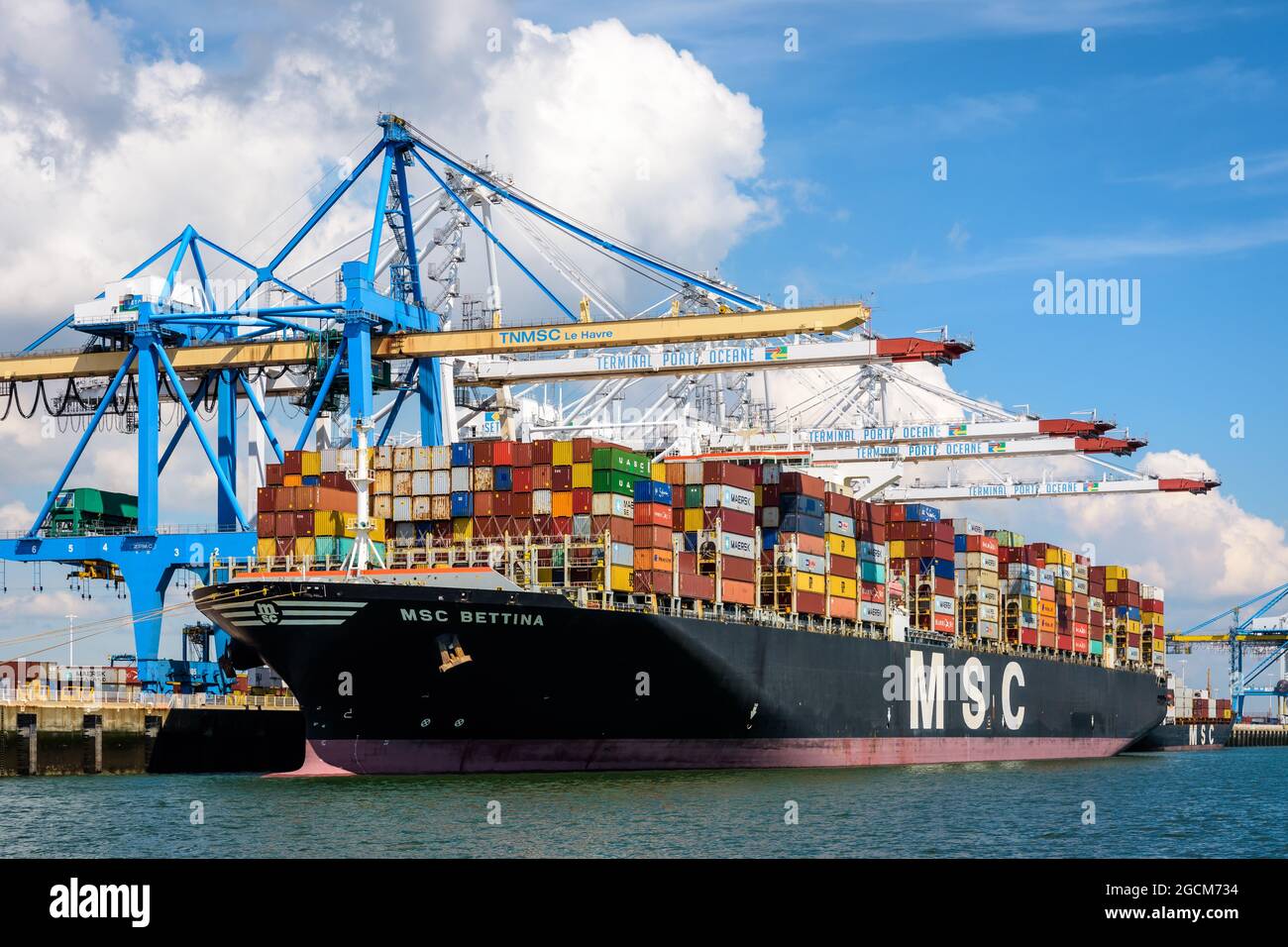 MSC Bettina Container Ship attraccato nel terminal dei container Port 2000 a le Havre, Francia, in fase di scarico da gru a portale per container post-panamax. Foto Stock