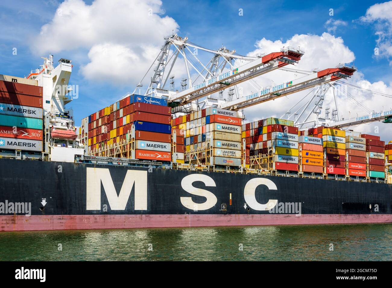 Vista laterale della nave portacontainer MSC Bettina attraccata nel terminal dei container Port 2000 a le Havre, Francia, scaricata da gru a portale post-panamax Foto Stock