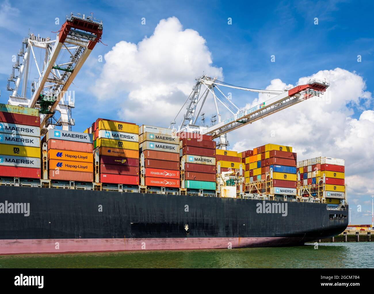 Stern di MSC Bettina, in fase di scarico con gru a portale per container super post-panamax nel terminal dei container Port 2000 a le Havre, Francia. Foto Stock