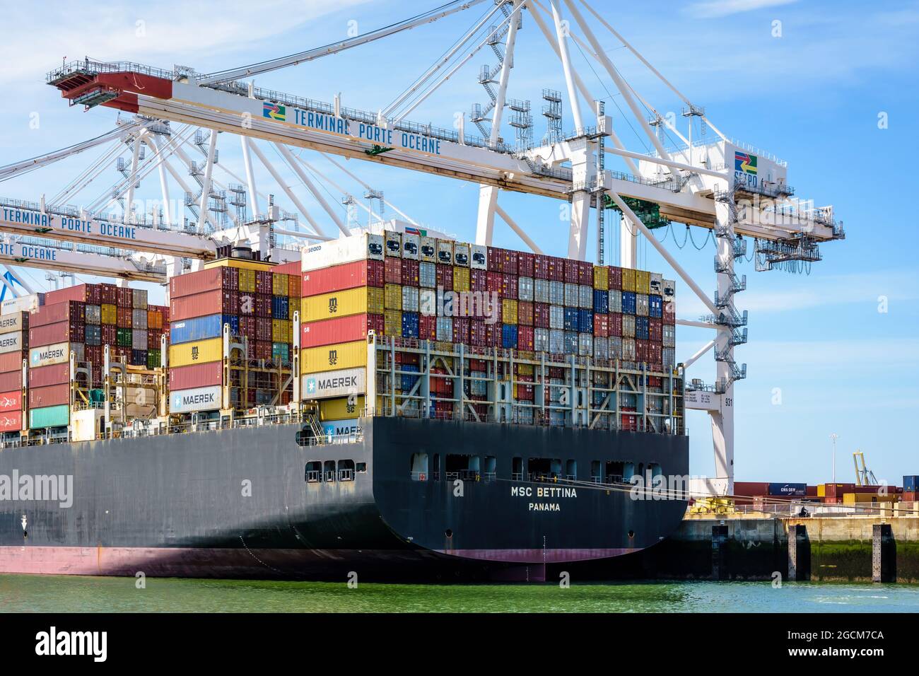 Stern di MSC Bettina, in fase di scarico con gru a portale per container super post-panamax nel terminal dei container Port 2000 a le Havre, Francia. Foto Stock