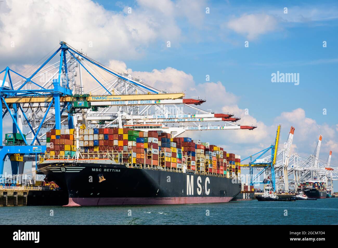 MSC Bettina Container Ship attraccato nel terminal dei container Port 2000 a le Havre, Francia, in fase di scarico da gru a portale per container post-panamax. Foto Stock