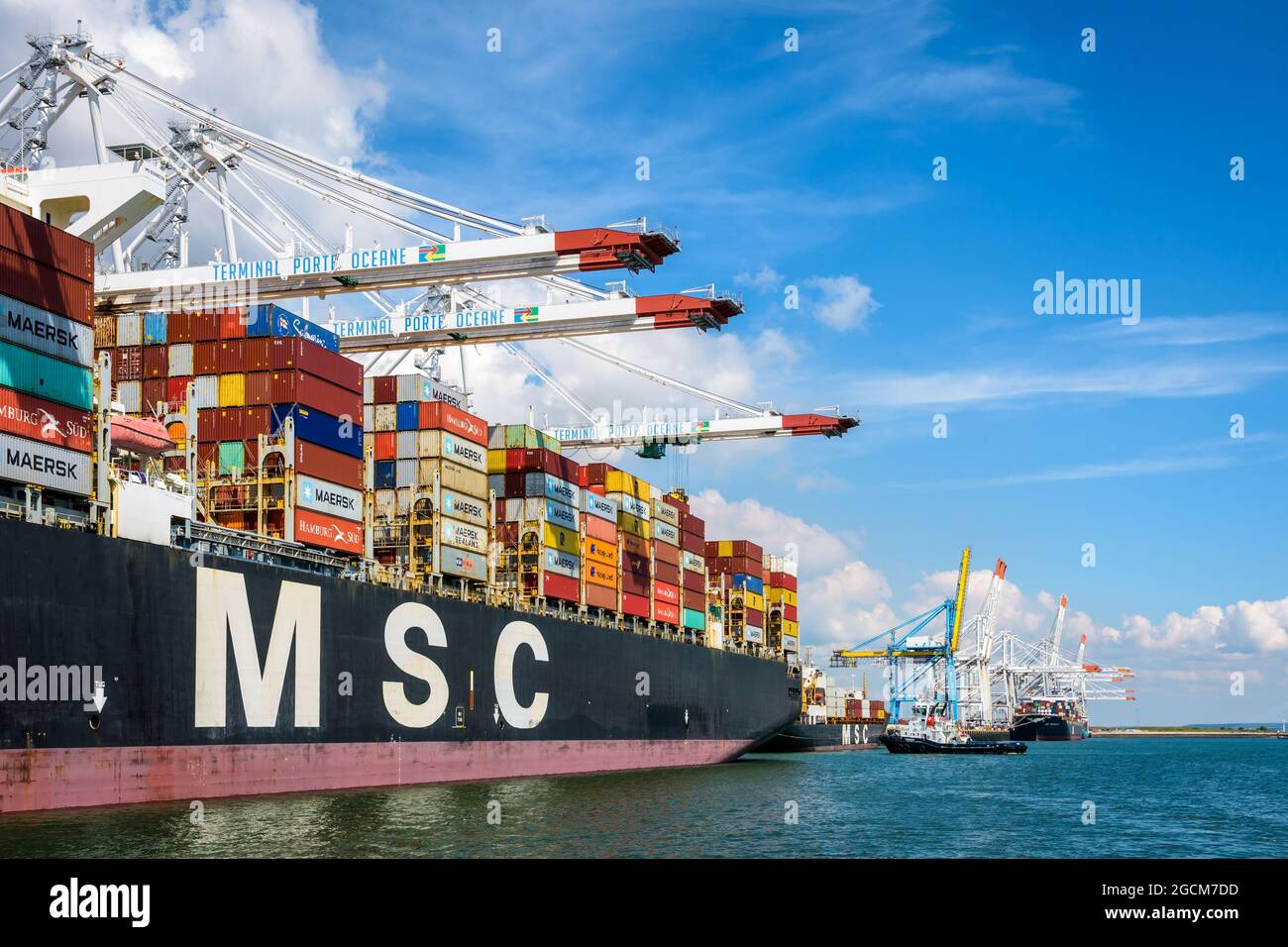 Vista laterale della nave portacontainer MSC Bettina attraccata nel terminal dei container Port 2000 a le Havre, Francia, scaricata da gru a portale post-panamax Foto Stock