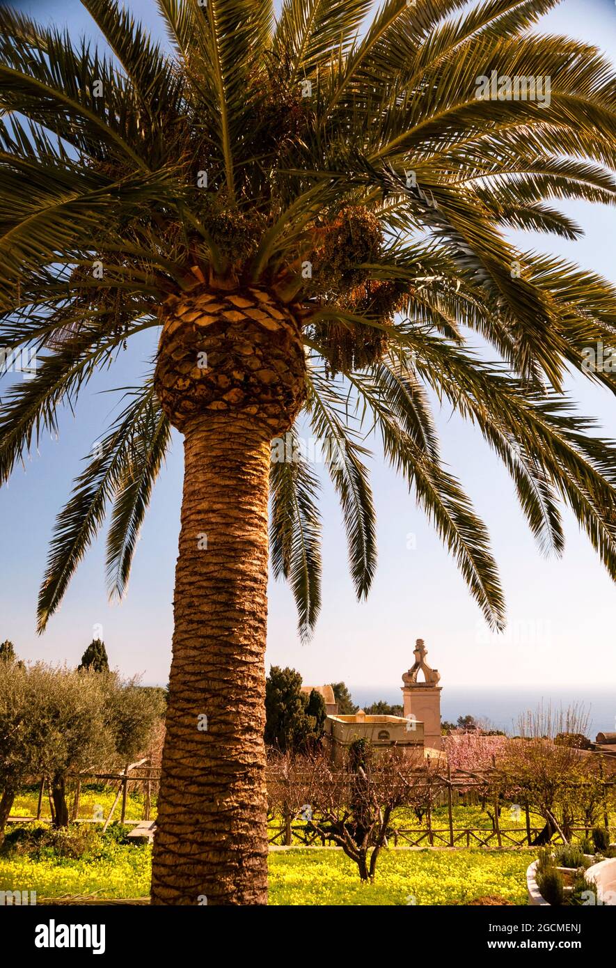 I giardini di Augusto e la Certosa di Capri si affacciano sul Mar Tirreno, Capri, Italia. Foto Stock