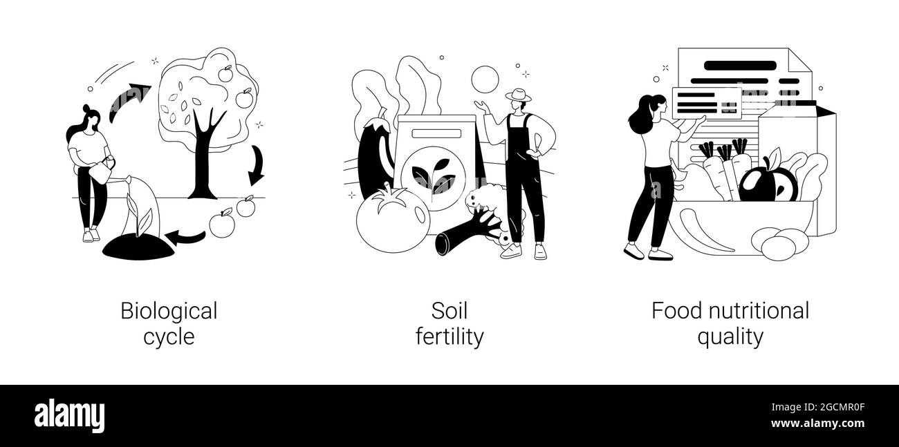 Illustrazioni vettoriali astratte di concetto di agricoltura organica. Illustrazione Vettoriale