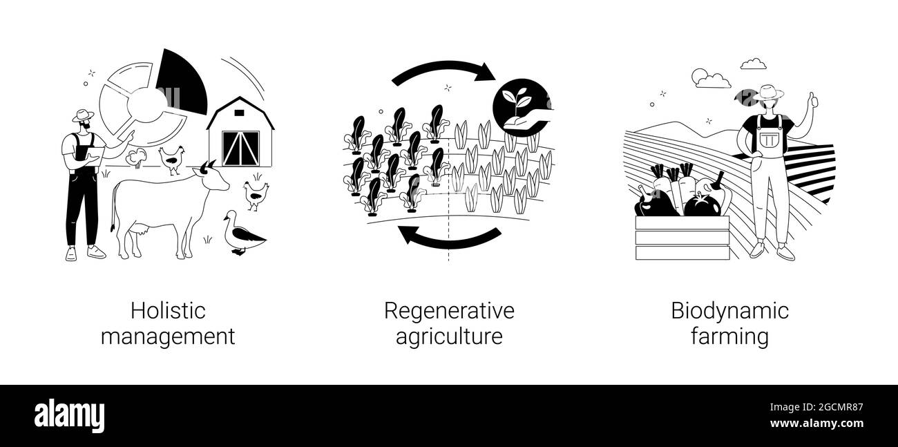 Illustrazioni vettoriali astratte di concetto di gestione del territorio. Illustrazione Vettoriale