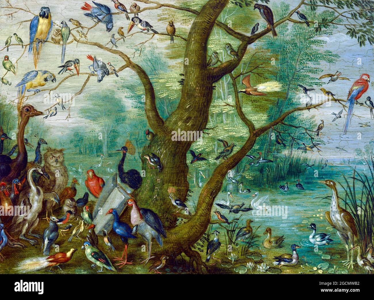 Ambiente di Jan van Kessel de Oude - Concerto van Vogels Foto Stock