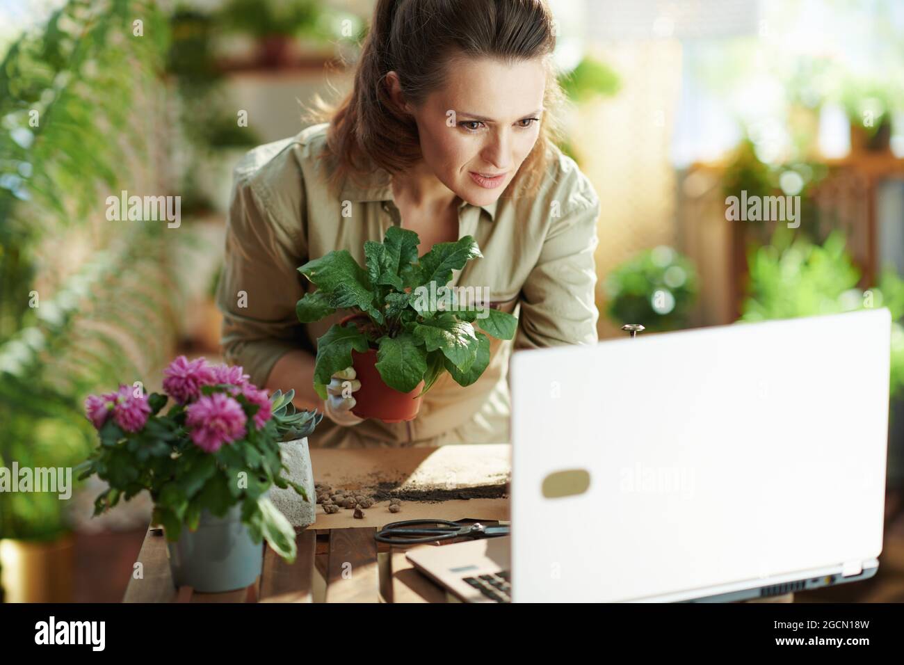 Giardinaggio domestico rilassante. donna di 40 anni in guanti di gomma bianca con pianta in vaso e computer portatile a casa moderna in giornata di sole. Foto Stock