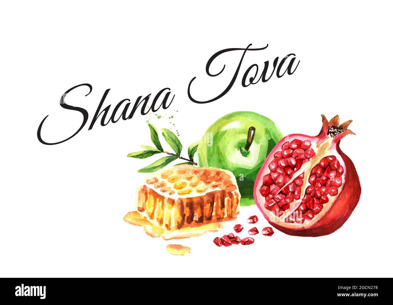 Anno nuovo ebraico, Rosh Hashanah, Shana Tova card. Illustrazione di acquerello disegnata a mano, isolata su sfondo bianco Foto Stock