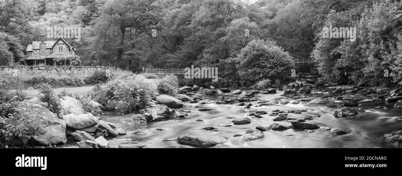 Foto panoramica del fiume East Lyn e dell'incontro del fiume Hoar Oak presso la Watersfeet House nel Parco Nazionale di Exmoor Foto Stock