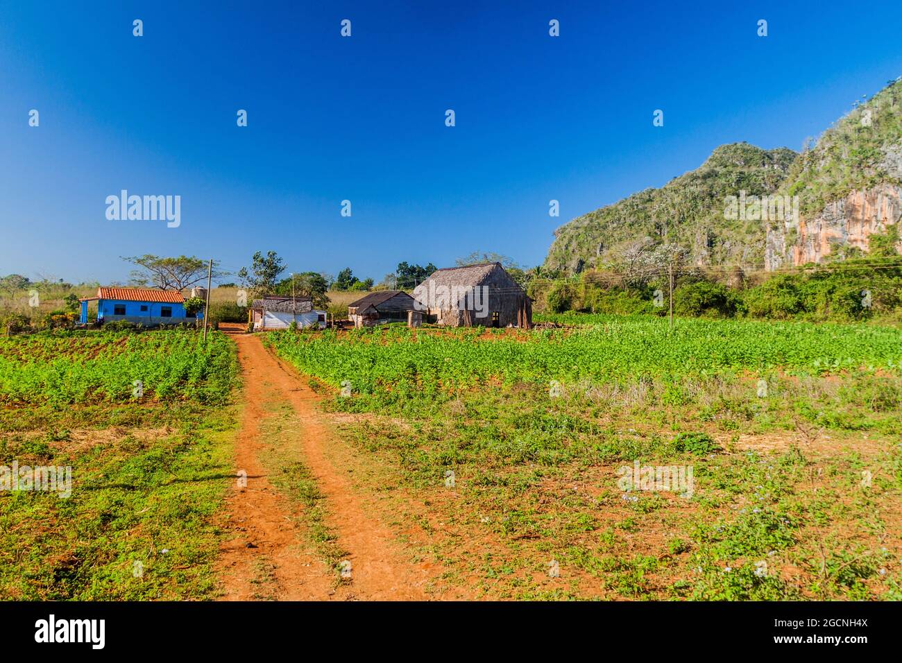 Piccolo insediamento nella valle di Vinales, Cuba Foto Stock