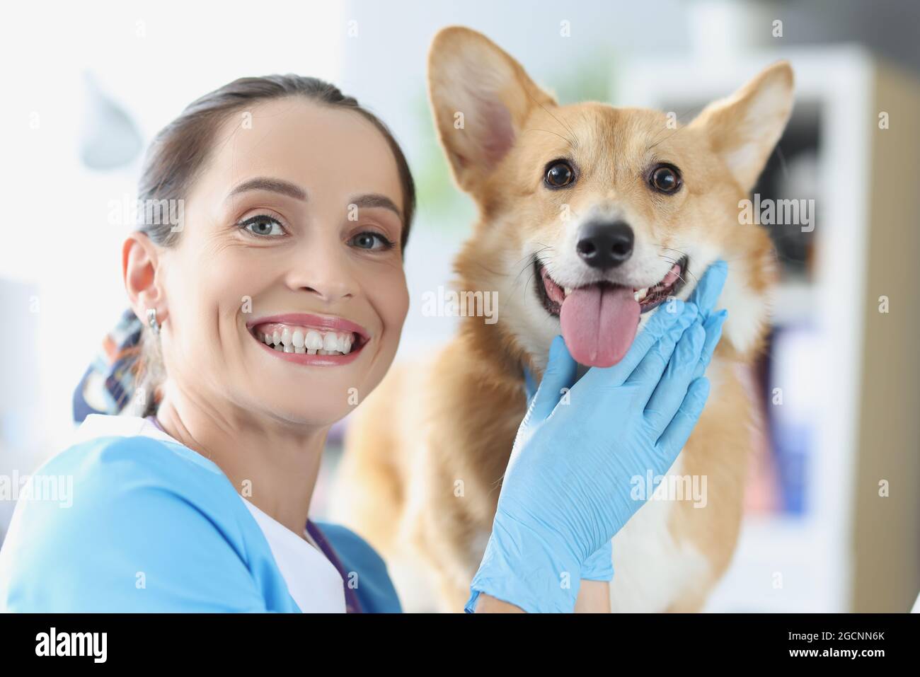 Ritratto di femmina sorridente veterinario insieme con zenzero cane Foto Stock