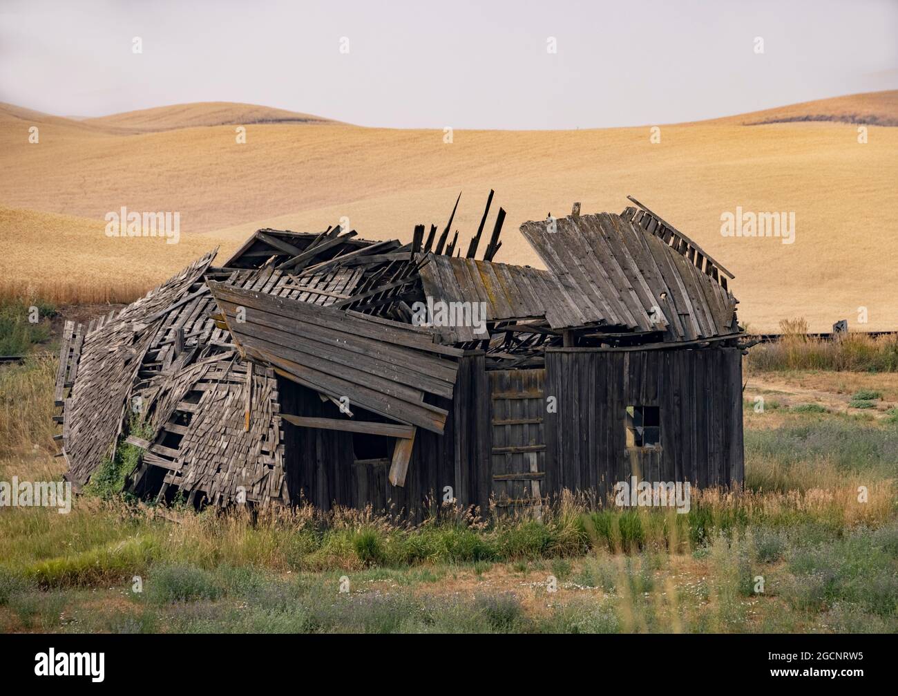 Fienile abbandonato, stato di Washington, USA Foto Stock