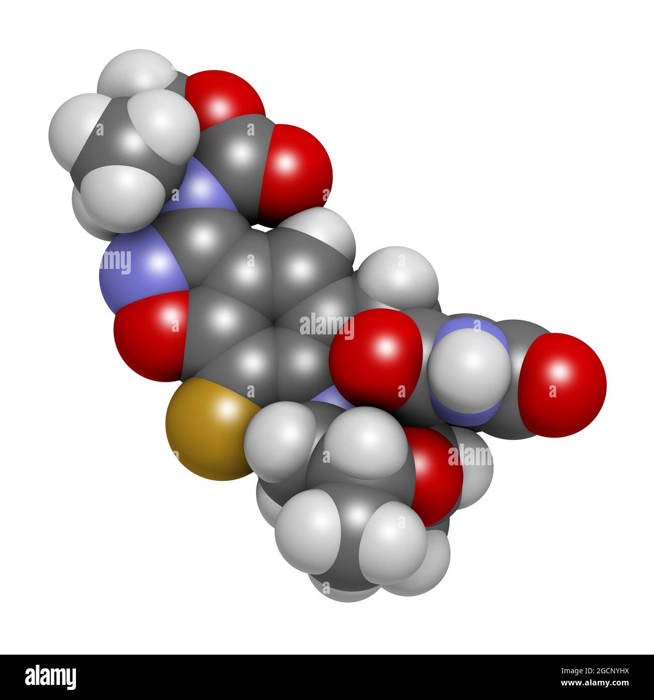 Zoliflodacina molecola di farmaco antibiotico. Rendering 3D. Gli atomi sono r Foto Stock